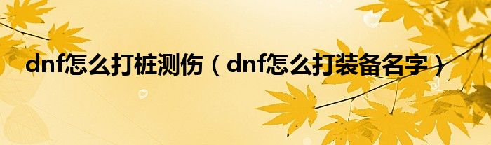 dnf怎么打桩测伤（dnf怎么打装备名字）