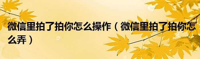 微信里拍了拍你怎么操作（微信里拍了拍你怎么弄）