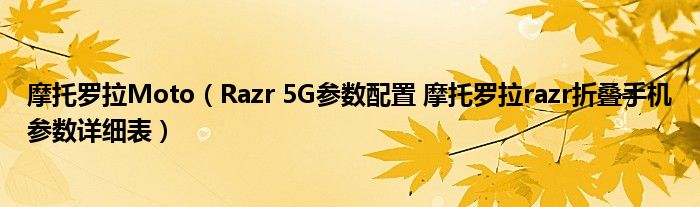 摩托罗拉Moto（Razr 5G参数配置 摩托罗拉razr折叠手机参数详细表）