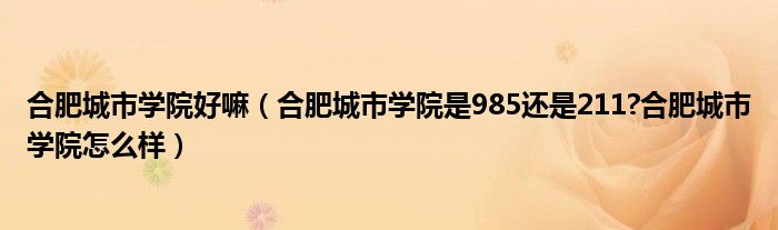 合肥城市学院好嘛（合肥城市学院是985还是211?合肥城市学院怎么样）