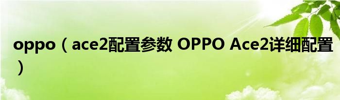 oppo（ace2配置参数 OPPO Ace2详细配置）