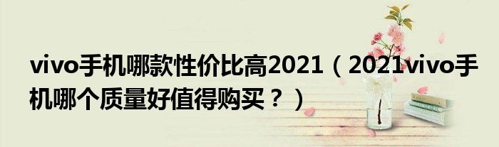 vivo手机哪款性价比高2021（2021vivo手机哪个质量好值得购买？）