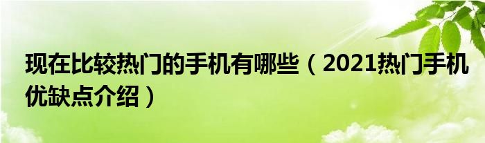 现在比较热门的手机有哪些（2021热门手机优缺点介绍）