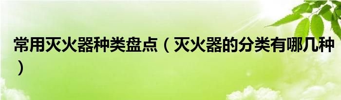 常用灭火器种类盘点（灭火器的分类有哪几种）