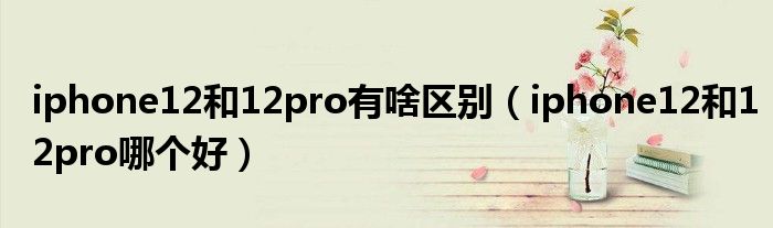 iphone12和12pro有啥区别（iphone12和12pro哪个好）