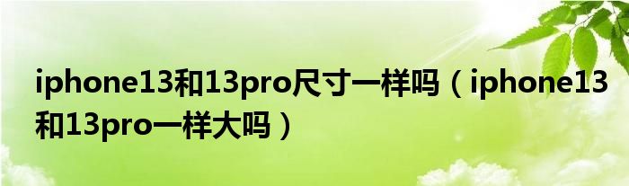 iphone13和13pro尺寸一样吗（iphone13和13pro一样大吗）