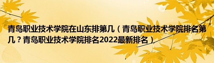 青岛职业技术学院在山东排第几（青岛职业技术学院排名第几？青岛职业技术学院排名2022最新排名）