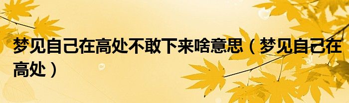 梦见自己在高处不敢下来啥意思（梦见自己在高处）