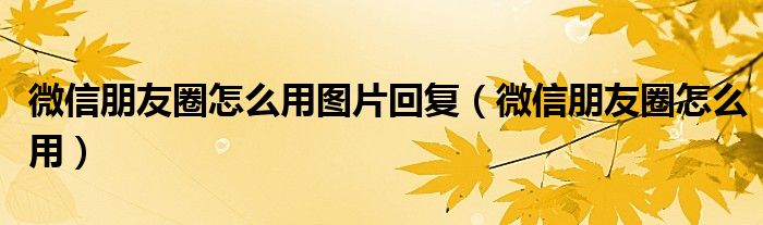 微信朋友圈怎么用图片回复（微信朋友圈怎么用）