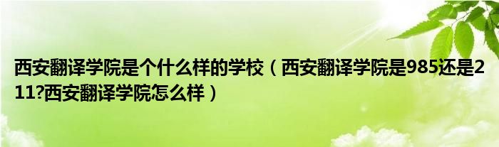 西安翻译学院是个什么样的学校（西安翻译学院是985还是211?西安翻译学院怎么样）