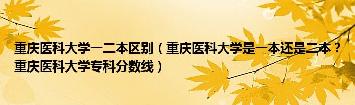 重庆医科大学一二本区别（重庆医科大学是一本还是二本？重庆医科大学专科分数线）