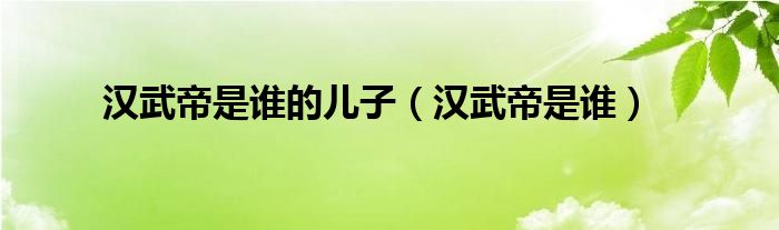 汉武帝是谁的儿子（汉武帝是谁）