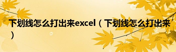 下划线怎么打出来excel（下划线怎么打出来）