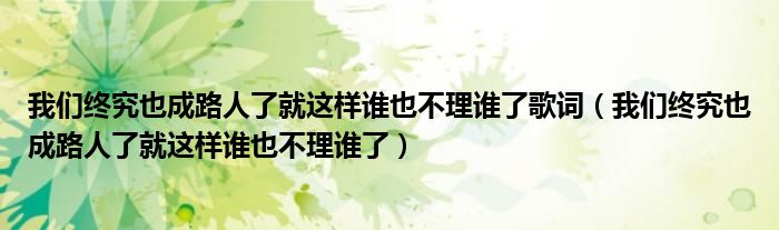 我们终究也成路人了就这样谁也不理谁了歌词（我们终究也成路人了就这样谁也不理谁了）