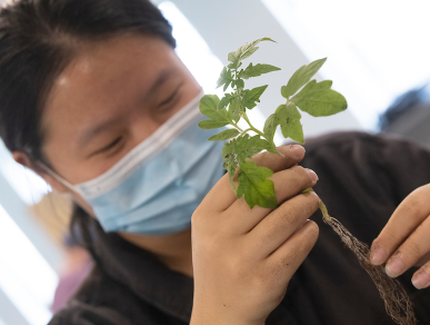 生物学实验室课程向学生介绍研究