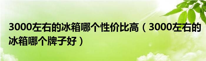 3000左右的冰箱哪个性价比高（3000左右的冰箱哪个牌子好）