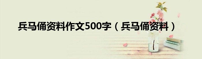 兵马俑资料作文500字（兵马俑资料）