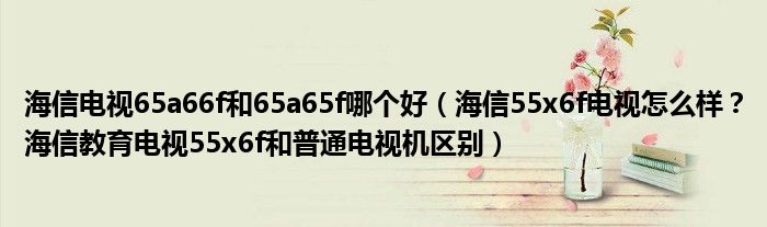 海信电视65a66f和65a65f哪个好（海信55x6f电视怎么样？海信教育电视55x6f和普通电视机区别）