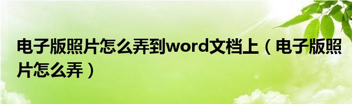 电子版照片怎么弄到word文档上（电子版照片怎么弄）