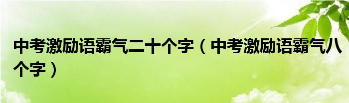 中考激励语霸气二十个字（中考激励语霸气八个字）