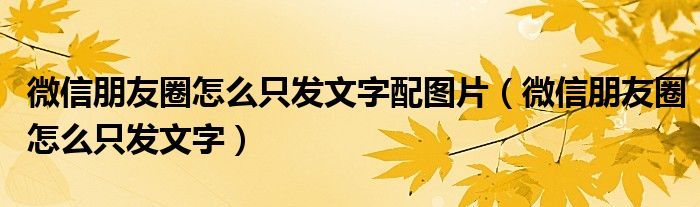 微信朋友圈怎么只发文字配图片（微信朋友圈怎么只发文字）