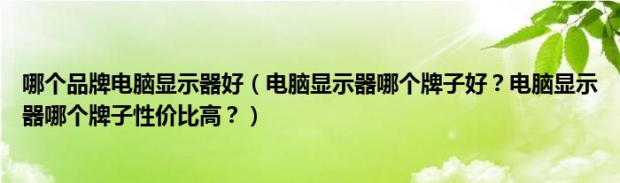 哪个品牌电脑显示器好（电脑显示器哪个牌子好？电脑显示器哪个牌子性价比高？）