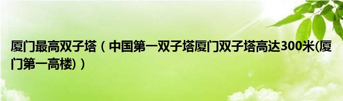 厦门最高双子塔（中国第一双子塔厦门双子塔高达300米(厦门第一高楼)）