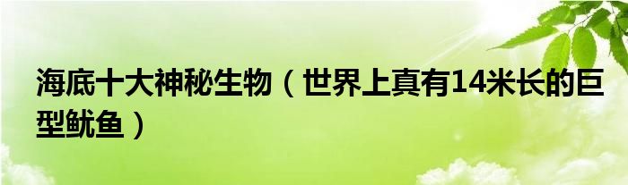 海底十大神秘生物（世界上真有14米长的巨型鱿鱼）