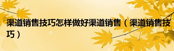 渠道销售技巧怎样做好渠道销售（渠道销售技巧）