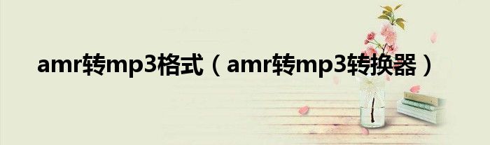 amr转mp3格式（amr转mp3转换器）