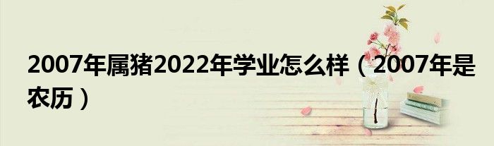 2007年属猪2022年学业怎么样（2007年是农历）