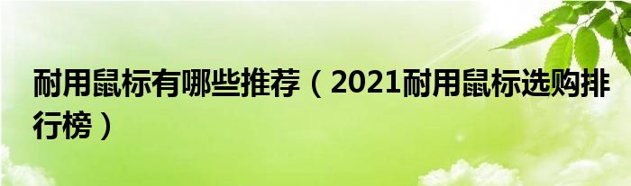 耐用鼠标有哪些推荐（2021耐用鼠标选购排行榜）