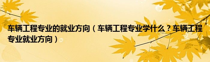 车辆工程专业的就业方向（车辆工程专业学什么？车辆工程专业就业方向）