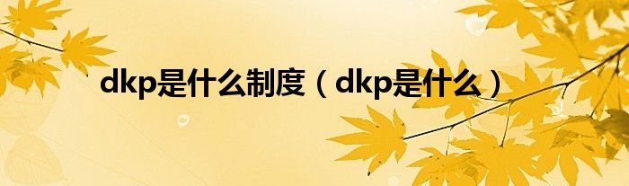 dkp是什么制度（dkp是什么）