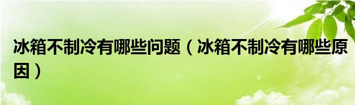 冰箱不制冷有哪些问题（冰箱不制冷有哪些原因）