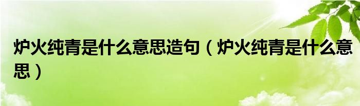 炉火纯青是什么意思造句（炉火纯青是什么意思）