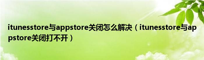 itunesstore与appstore关闭怎么解决（itunesstore与appstore关闭打不开）