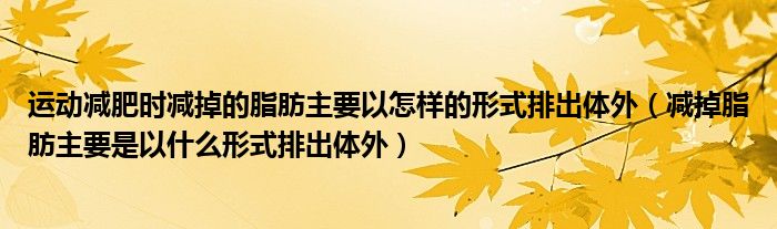 运动减肥时减掉的脂肪主要以怎样的形式排出体外（减掉脂肪主要是以什么形式排出体外）