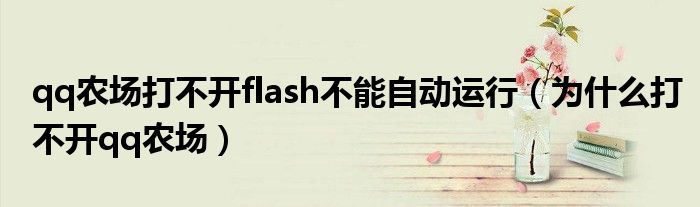 qq农场打不开flash不能自动运行（为什么打不开qq农场）