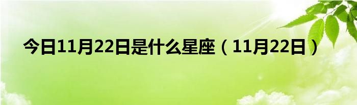 今日11月22日是什么星座（11月22日）