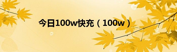 今日100w快充（100w）