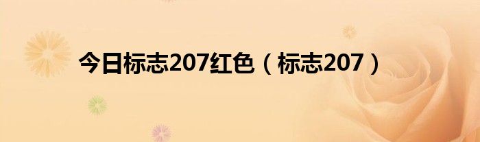 今日标志207红色（标志207）