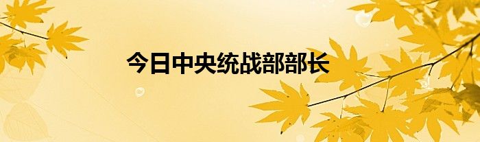 今日中央统战部部长