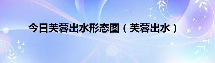 今日芙蓉出水形态图（芙蓉出水）