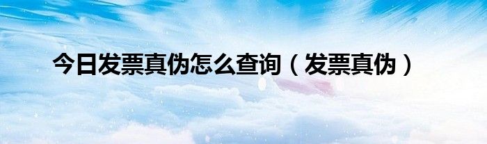 今日发票真伪怎么查询（发票真伪）