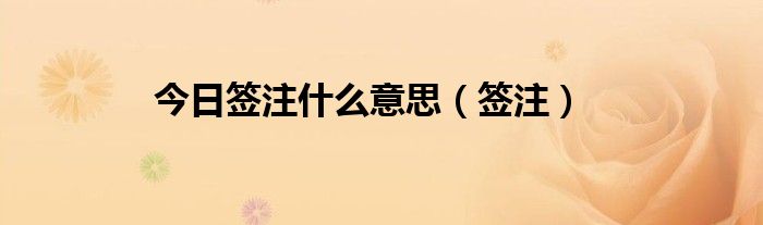 今日签注什么意思（签注）