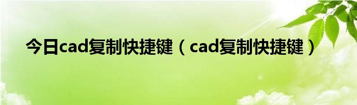 今日cad复制快捷键（cad复制快捷键）