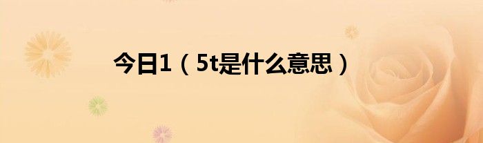 今日1（5t是什么意思）