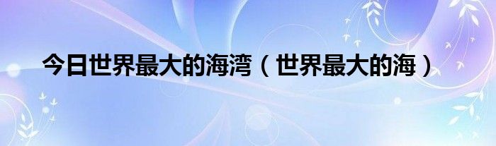 今日世界最大的海湾（世界最大的海）