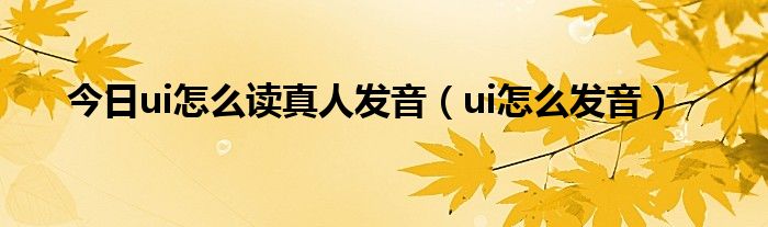 今日ui怎么读真人发音（ui怎么发音）